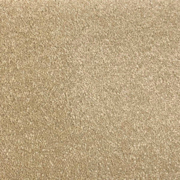Magnifico Carpet