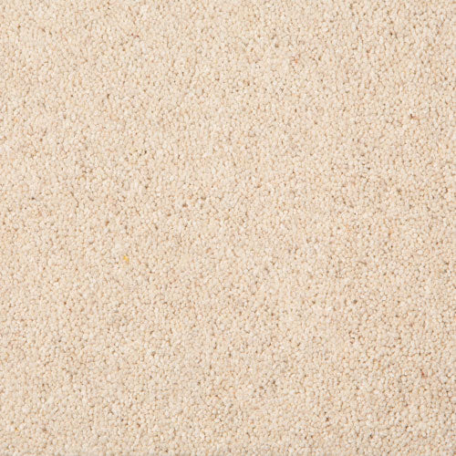 Midas Classic Carpet
